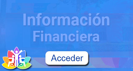 información-financiera-2021-hover